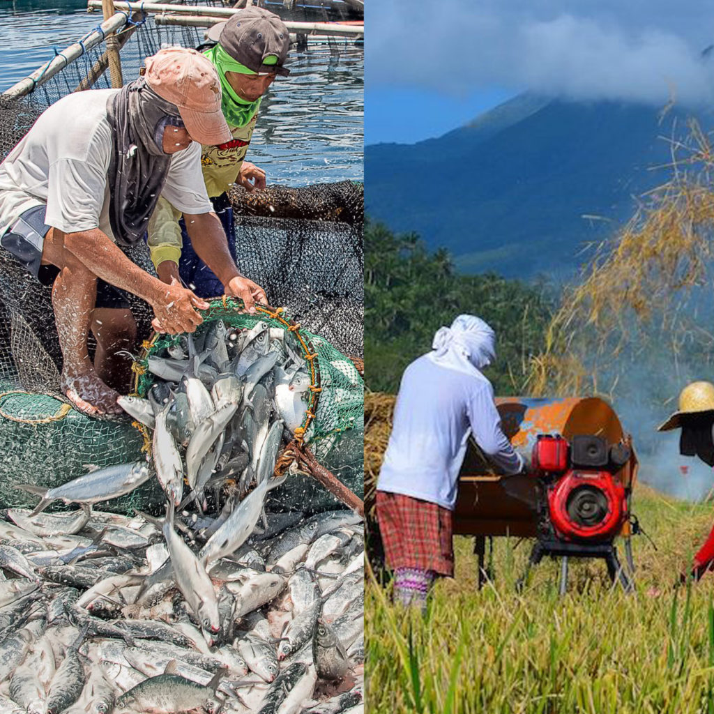 Farming-fishing-and-food-value-chain-activities-continue-under-extended-ECQ